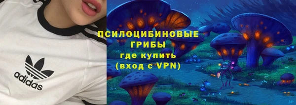 ГАЛЛЮЦИНОГЕННЫЕ ГРИБЫ Балабаново