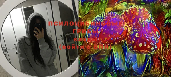 ГАЛЛЮЦИНОГЕННЫЕ ГРИБЫ Балабаново
