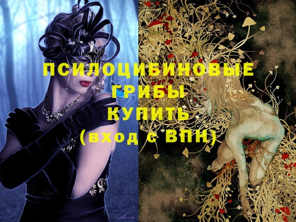 ГАЛЛЮЦИНОГЕННЫЕ ГРИБЫ Балабаново