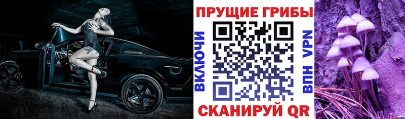 Галлюциногенные грибы мицелий  магазин продажи   kraken рабочий сайт  Ревда 